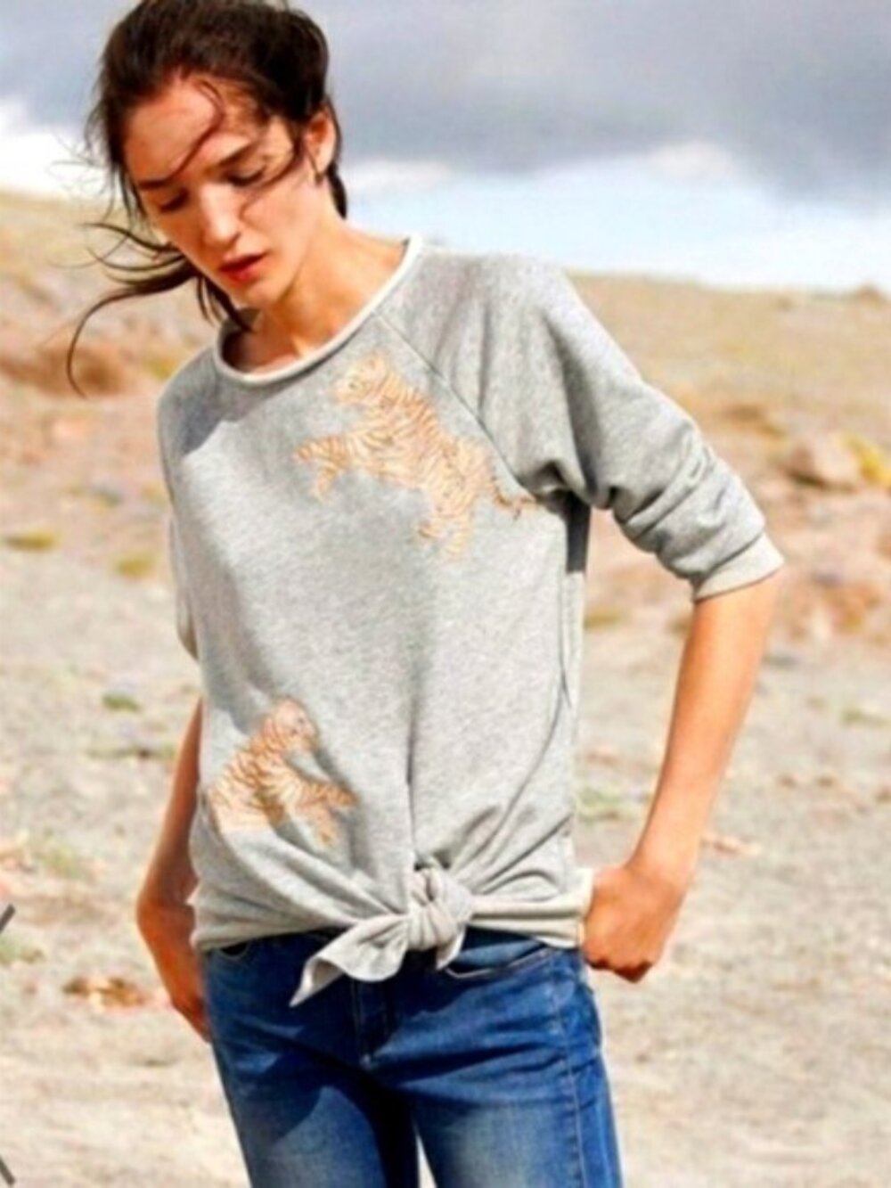 Anthro AKEMI + KIN Grey Embroidered Beaded Tiger Sweatshirt, S, Graphic Novelty